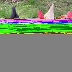 Ulusoy Old ホテル イスタンブール