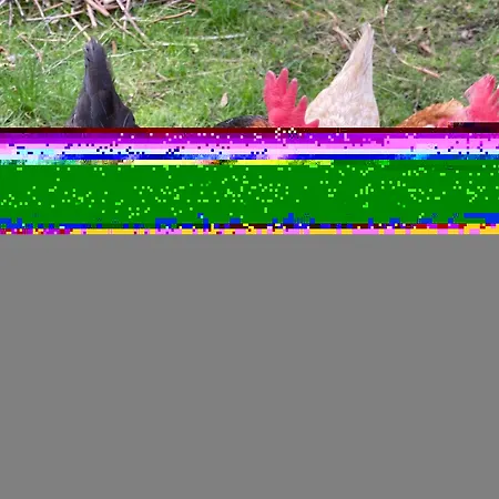 Ulusoy Old Отель Стамбул