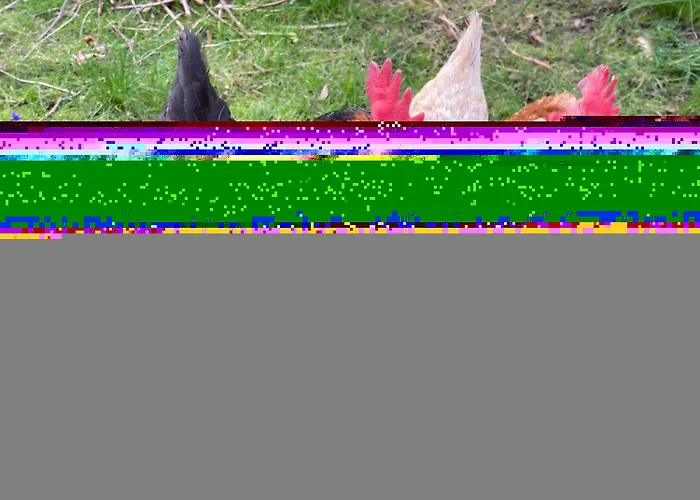 Ulusoy Old Cıty Otel İstanbul